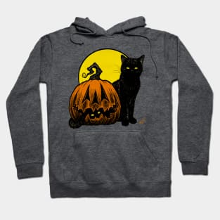 Still Life with Feline and Gourd Hoodie